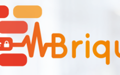 BRIQUES n°33